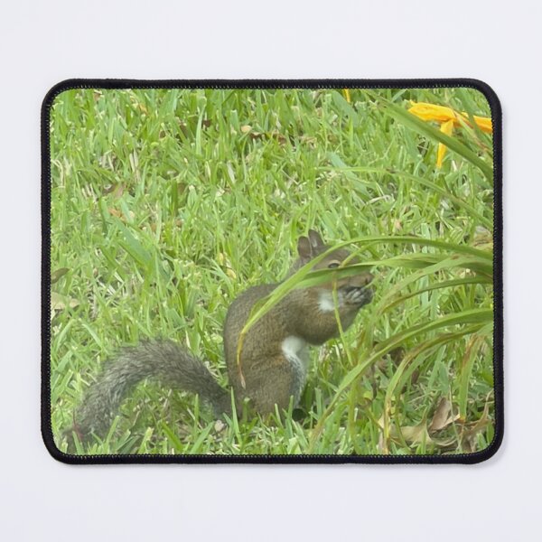 Item preview, Whispers of the Forest: Grey Squirrel. designed and sold by Pearls1.