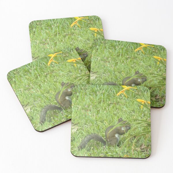 Item preview, Whispers of the Forest: Grey Squirrel. designed and sold by Pearls1.