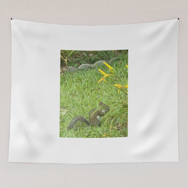 Item preview, Whispers of the Forest: Grey Squirrel. designed and sold by Pearls1.