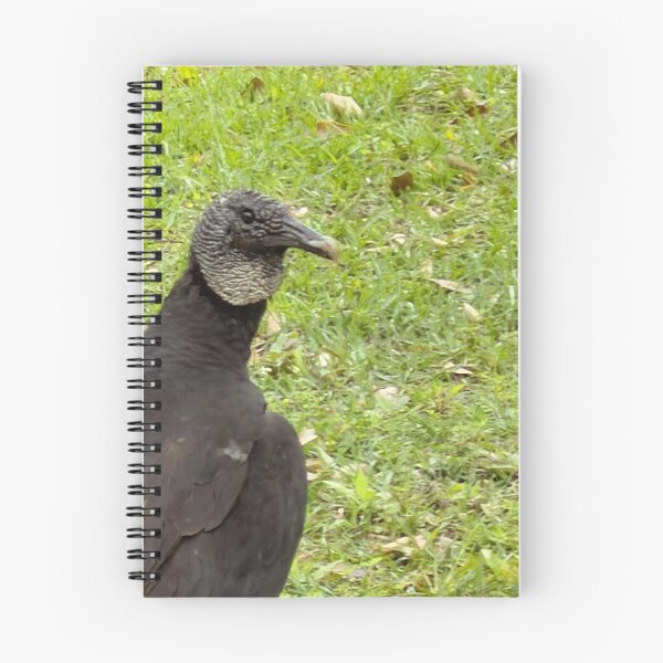 Item preview, Soaring Watchers: Turkey Vultures in the Distance. designed and sold by Pearls1.