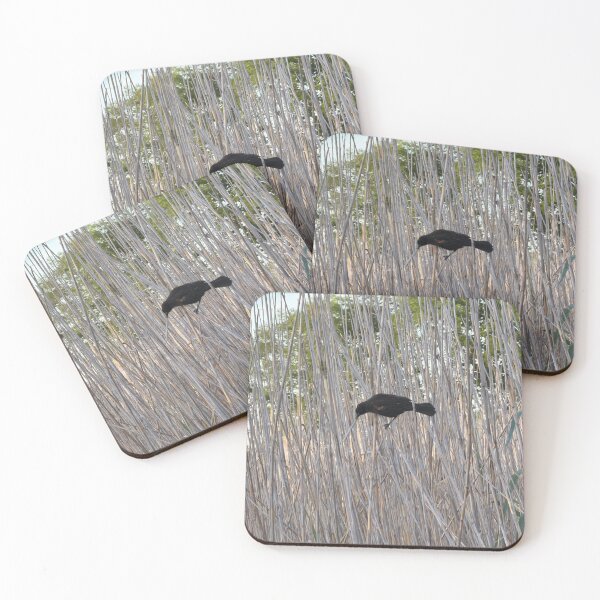 Item preview, Song of the Wetlands: Red-Winged Blackbird in Cattails. designed and sold by Pearls1.