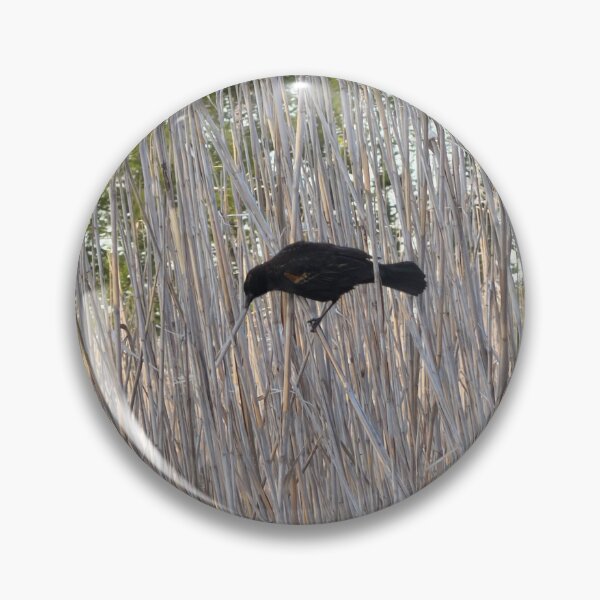 Item preview, Song of the Wetlands: Red-Winged Blackbird in Cattails. designed and sold by Pearls1.