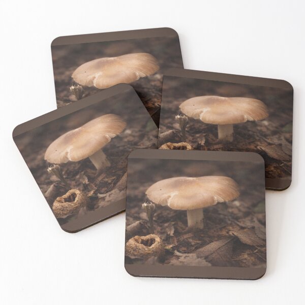 Item preview, Tan Wild Mushroom on Forest Floor - Ozark Nature Photography designed and sold by Blossom-Breeze.