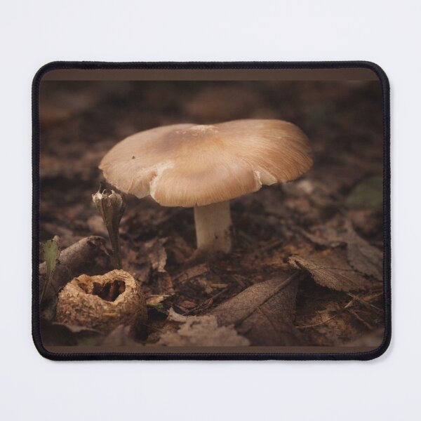 Item preview, Tan Wild Mushroom on Forest Floor - Ozark Nature Photography designed and sold by Blossom-Breeze.