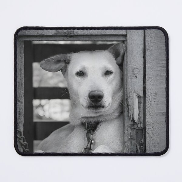 Item preview, Silent Guardian – Black & White Dog Portrait designed and sold by lKOSMOXSTORE.