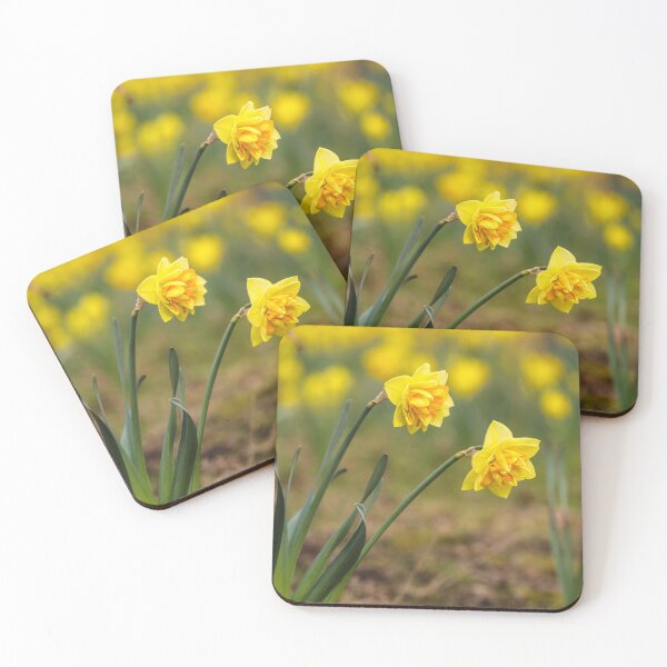 Item preview, Daffodils designed and sold by heidipics.