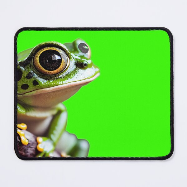 Item preview, Green frog sits on branch of tropical tree. Dumpy frog, green tree frog, papua green tree frog designed and sold by ArtEventET.