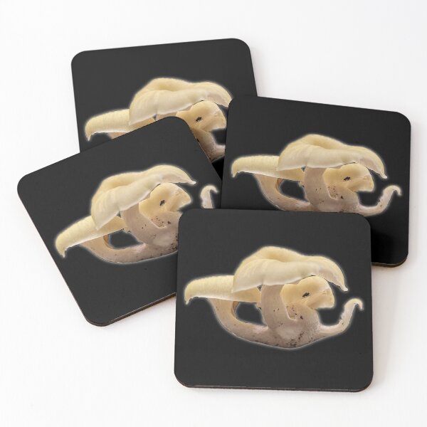 Item preview, White Forest Mushroom designed and sold by aadventures.