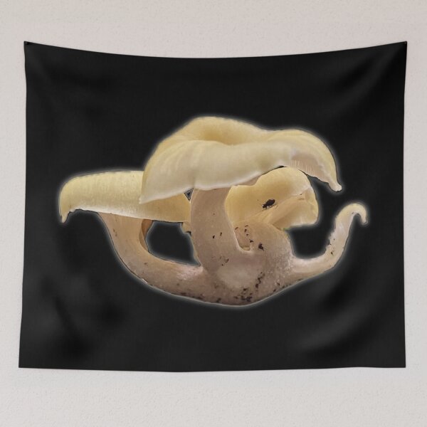 Item preview, White Forest Mushroom designed and sold by aadventures.