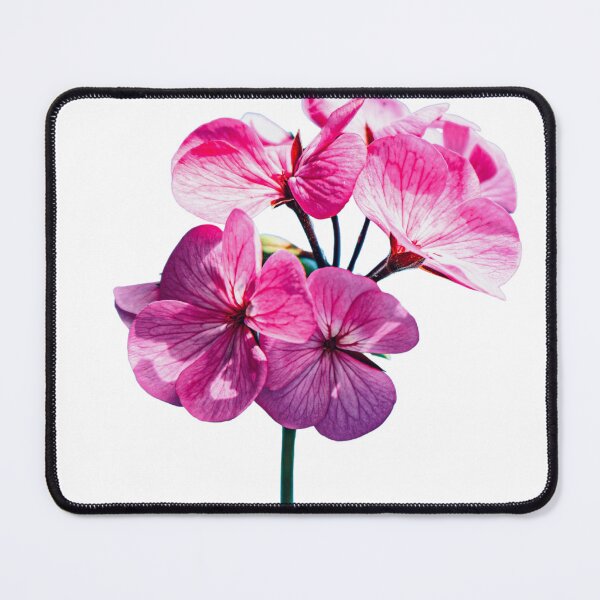 Item preview, Beautiful Flower Design  designed and sold by shoppersgallery.