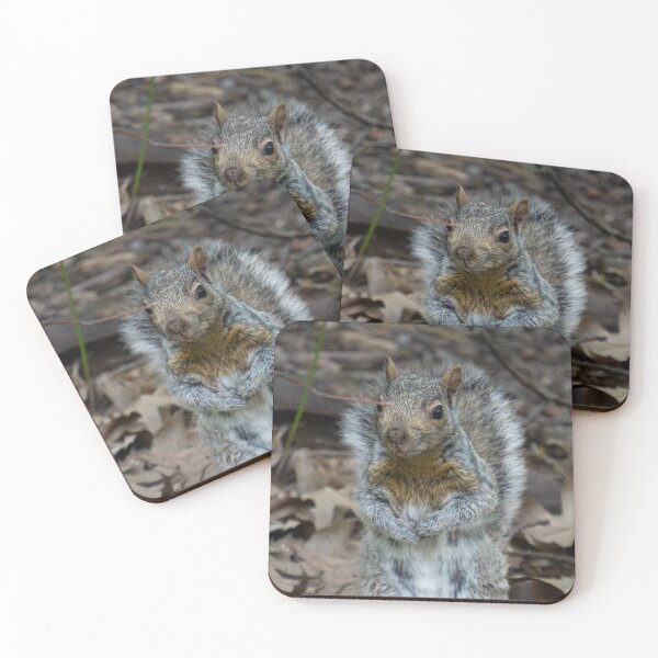 Item preview, Close up look on a standing squirrel designed and sold by PhotoPX.