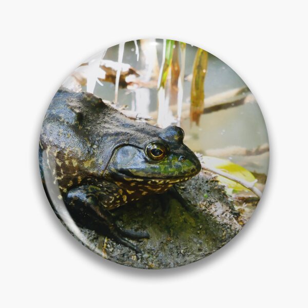 Item preview, Camouflaged Guardian of the Swamp: Textured Bullfrog designed and sold by sky earth human.
