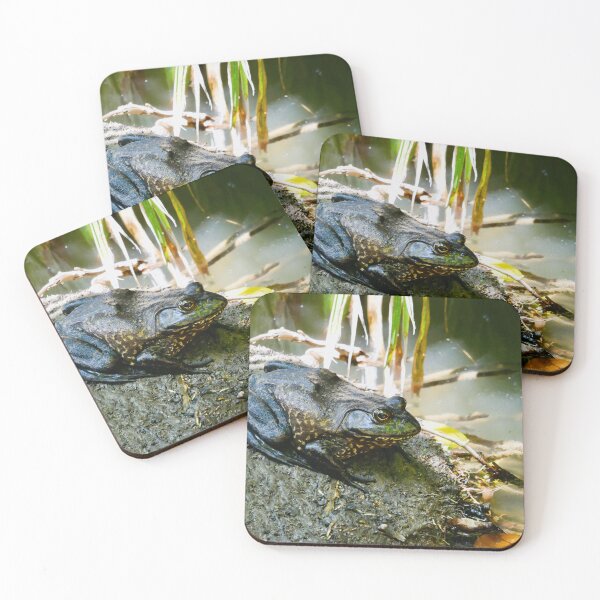 Item preview, Camouflaged Guardian of the Swamp: Textured Bullfrog designed and sold by sky earth human.