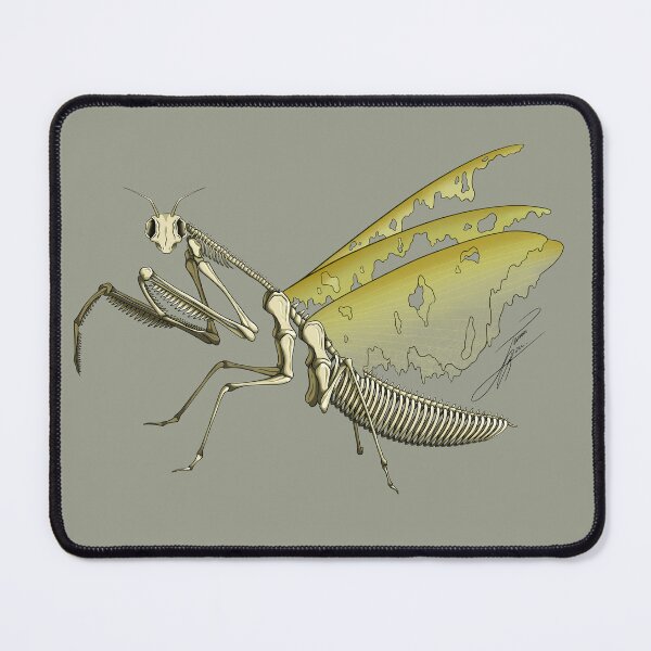 Item preview, Skeleton Pray Mantas designed and sold by TesseractCreate.