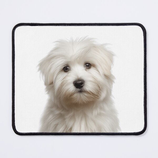 Item preview, Adorable Coton de Tulear Pup for Cute Coties puppy lovers designed and sold by LazyOwlStore.