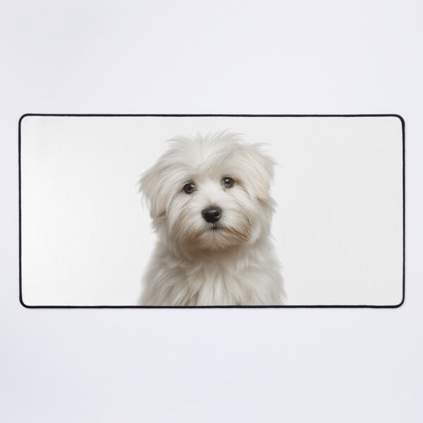 Item preview, Adorable Coton de Tulear Pup for Cute Coties puppy lovers designed and sold by LazyOwlStore.