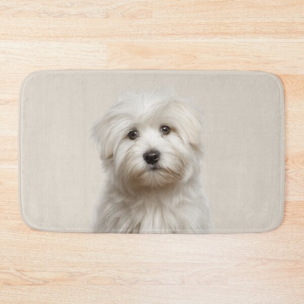 Item preview, Adorable Coton de Tulear Pup for Cute Coties puppy lovers designed and sold by LazyOwlStore.