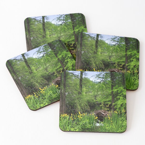 Item preview, The Taxodium forest designed and sold by annalisa56.