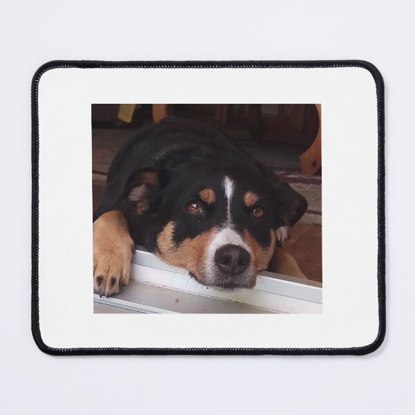 Item preview, Appenzeller Mountain Dog - Switzerland designed and sold by dekoschrift.