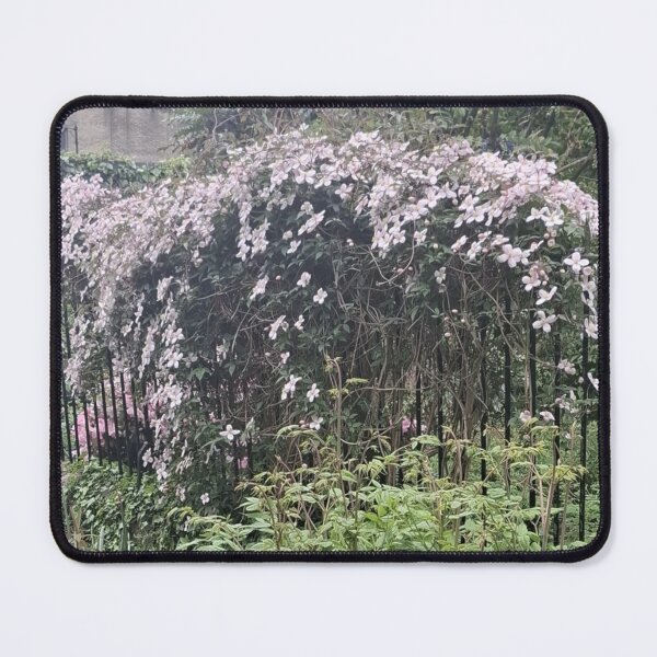 Item preview, Holmfirth Nature Cascading Blossom Arch designed and sold by Daisy Lane Gifts UK.