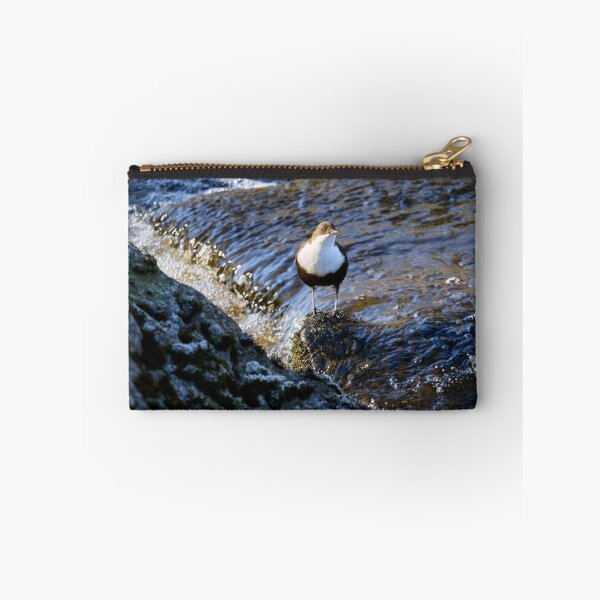 Item preview, In the sunshine. White-throated dipper Spring 2026 designed and sold by Jouko Lehto Photography.