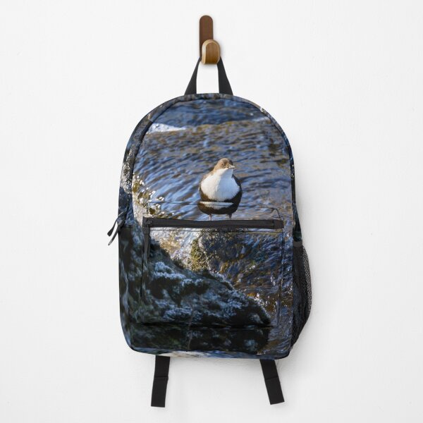 Item preview, In the sunshine. White-throated dipper Spring 2026 designed and sold by Jouko Lehto Photography.