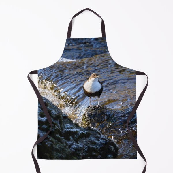 Item preview, In the sunshine. White-throated dipper Spring 2026 designed and sold by Jouko Lehto Photography.