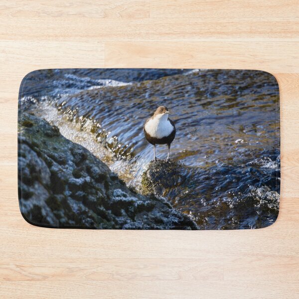 Item preview, In the sunshine. White-throated dipper Spring 2026 designed and sold by Jouko Lehto Photography.