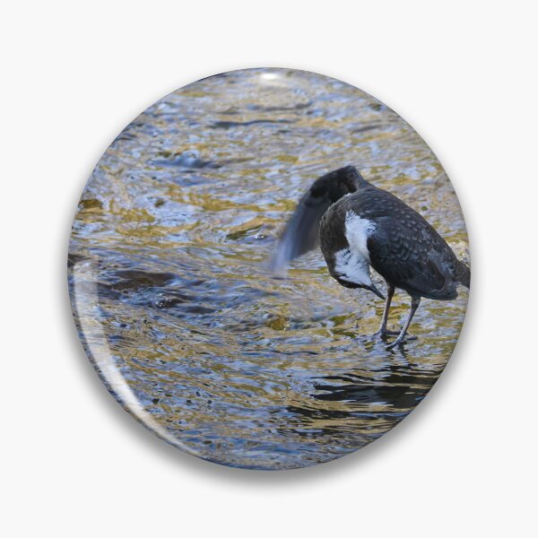 Item preview, At Your Service Sir. White-throated dipper Spring 2026 designed and sold by Jouko Lehto Photography.