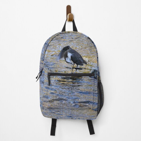 Item preview, At Your Service Sir. White-throated dipper Spring 2026 designed and sold by Jouko Lehto Photography.