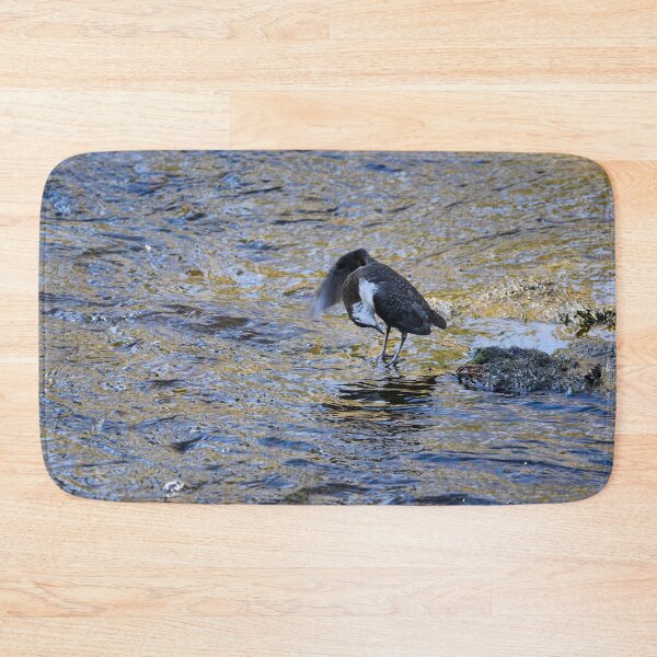 Item preview, At Your Service Sir. White-throated dipper Spring 2026 designed and sold by Jouko Lehto Photography.