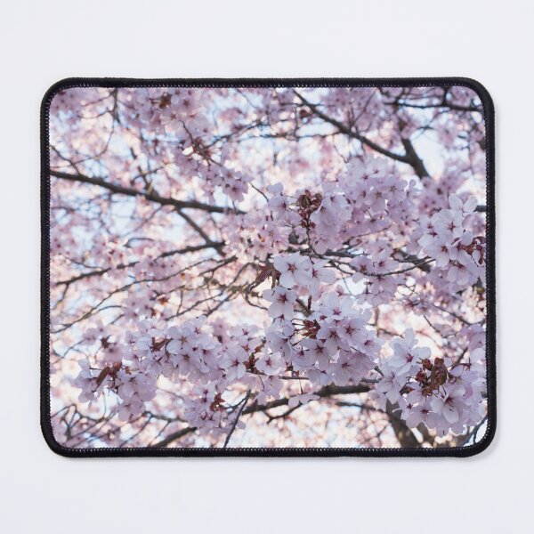 Item preview, Sakura Cherry Blossoms in Full Bloom designed and sold by Georgia Mizuleva.