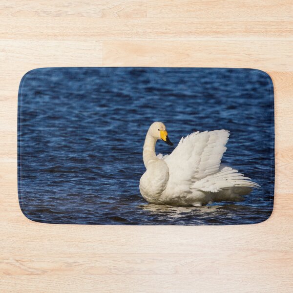 Item preview, Whites and blues. Whooper swan. Spring 2026 designed and sold by Jouko Lehto Photography.