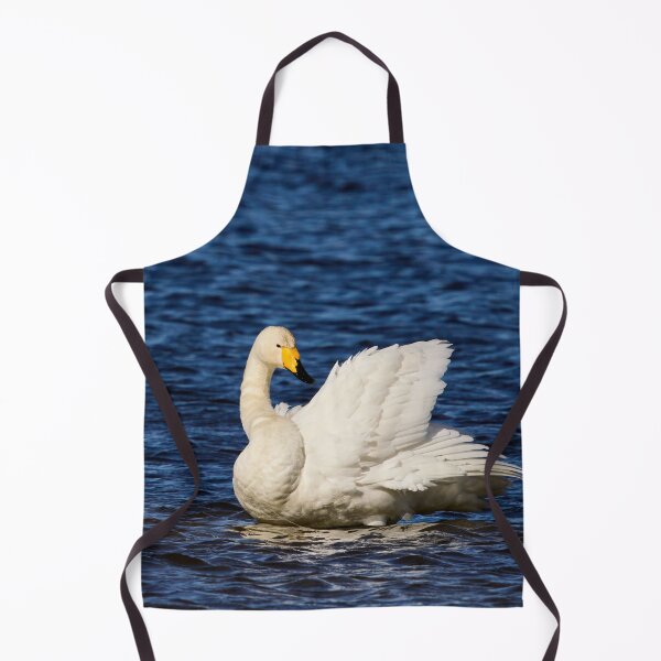 Item preview, Whites and blues. Whooper swan. Spring 2026 designed and sold by Jouko Lehto Photography.