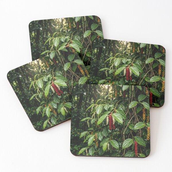 Item preview, Tropical Harvest: Black Pepper Vines designed and sold by Mindful Heritage.