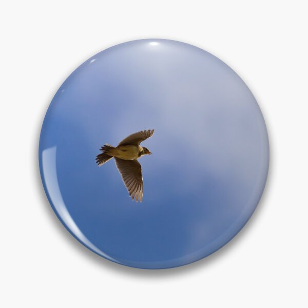 Item preview, Songs from the sky. Eurasian skylark Spring 2026 designed and sold by Jouko Lehto Photography.