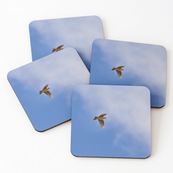 Item preview, Songs from the sky. Eurasian skylark Spring 2026 designed and sold by Jouko Lehto Photography.