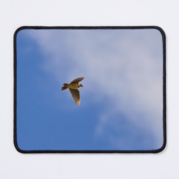 Item preview, Songs from the sky. Eurasian skylark Spring 2026 designed and sold by Jouko Lehto Photography.