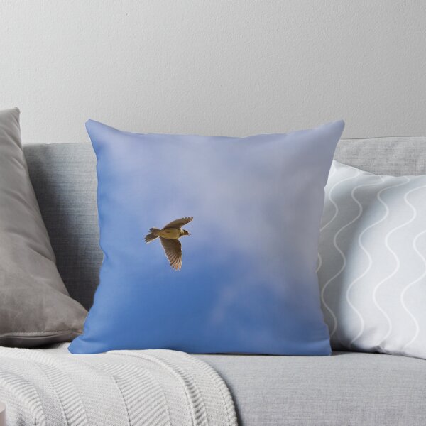 Item preview, Songs from the sky. Eurasian skylark Spring 2026 designed and sold by Jouko Lehto Photography.