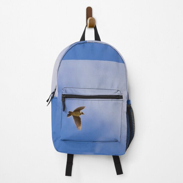 Item preview, Songs from the sky. Eurasian skylark Spring 2026 designed and sold by Jouko Lehto Photography.