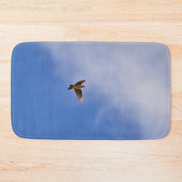 Item preview, Songs from the sky. Eurasian skylark Spring 2026 designed and sold by Jouko Lehto Photography.