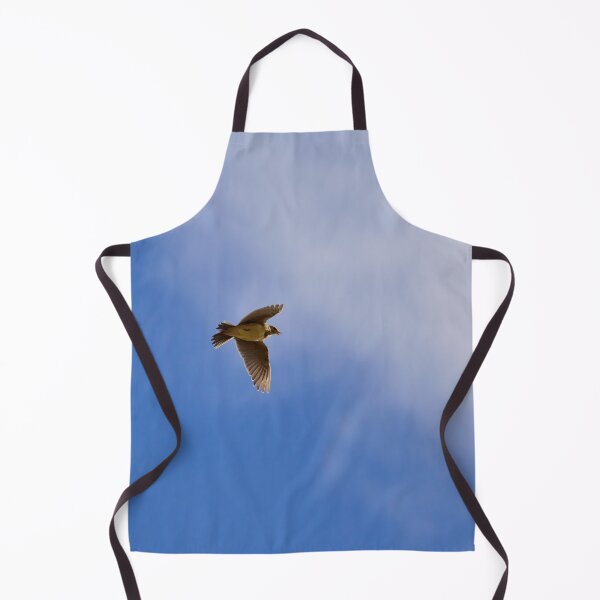 Item preview, Songs from the sky. Eurasian skylark Spring 2026 designed and sold by Jouko Lehto Photography.