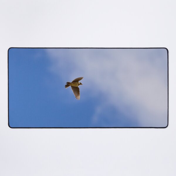Item preview, Songs from the sky. Eurasian skylark Spring 2026 designed and sold by Jouko Lehto Photography.