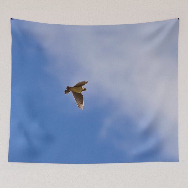 Item preview, Songs from the sky. Eurasian skylark Spring 2026 designed and sold by Jouko Lehto Photography.