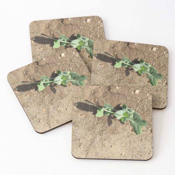 Item preview, Pea Plant Growing in Sunlight designed and sold by yaserphotograph.