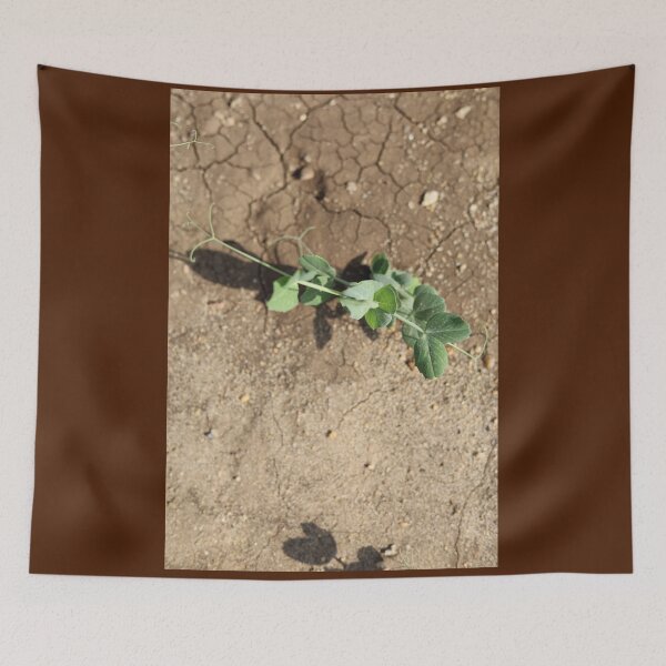 Item preview, Pea Plant Growing in Sunlight designed and sold by yaserphotograph.