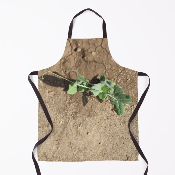 Item preview, Pea Plant Growing in Sunlight designed and sold by yaserphotograph.