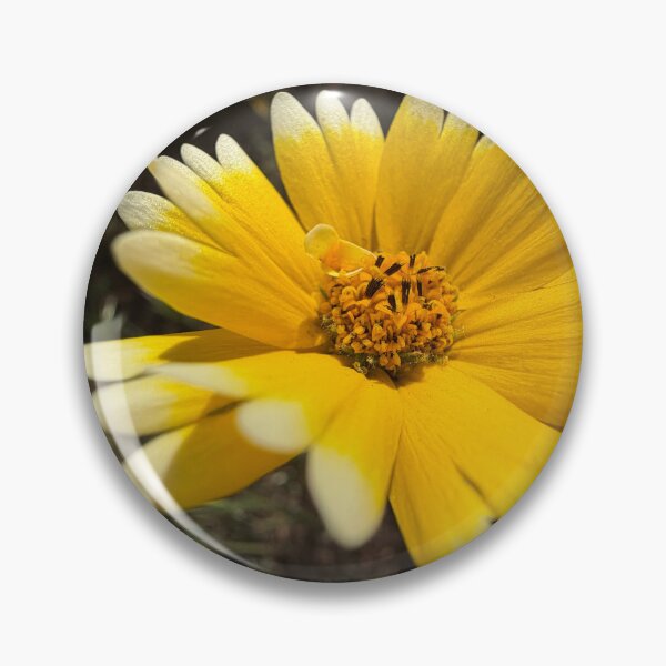 Item preview, Happy Bloom designed and sold by Betsy Phillips.