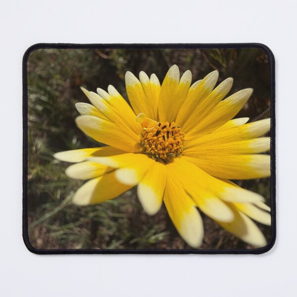 Item preview, Happy Bloom designed and sold by Betsy Phillips.