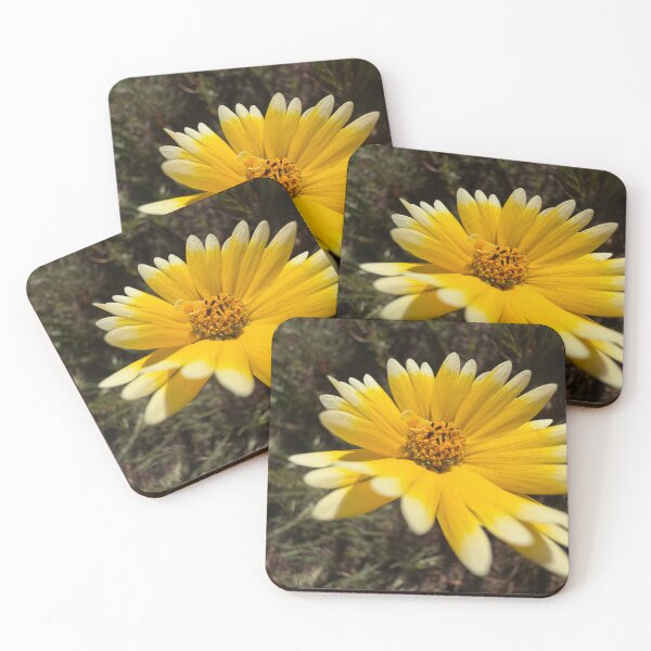 Item preview, Happy Bloom designed and sold by Betsy Phillips.